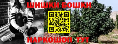таблы Новокубанск