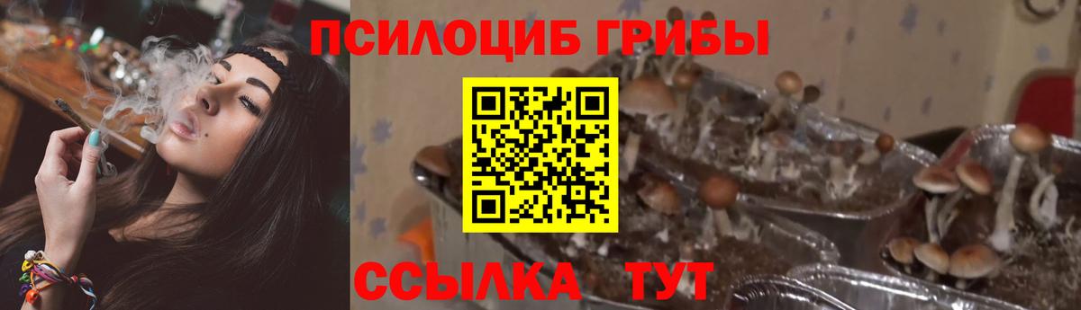 Трёхгорный  где найти   Вход с VPN  Галлюциногенные грибы мухоморы 