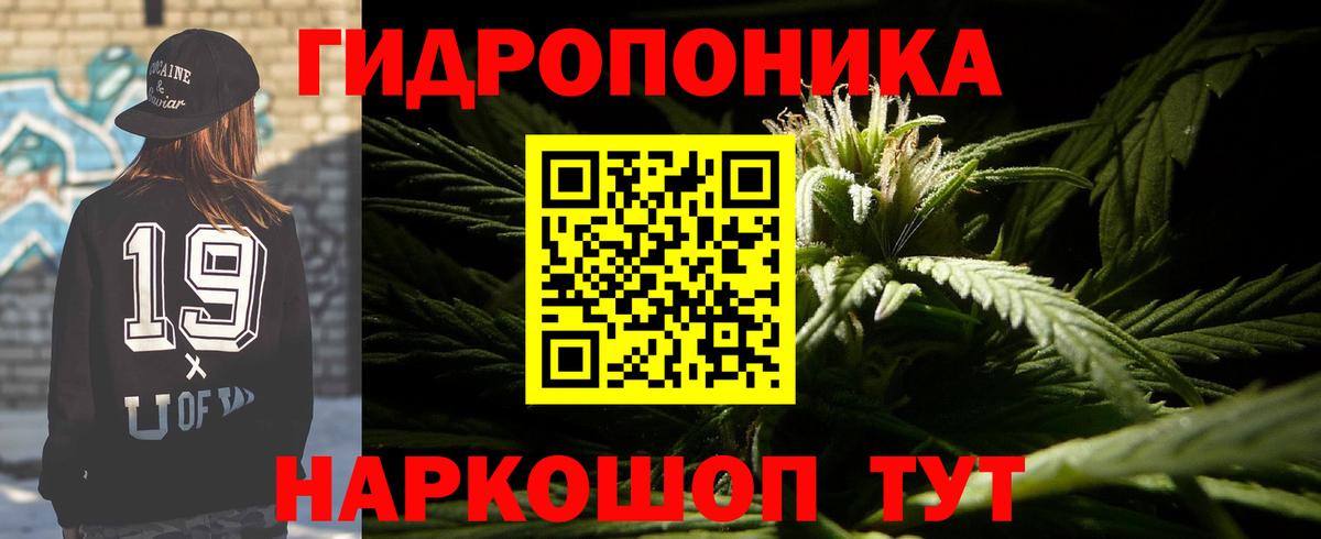 Трёхгорный  МАРИХУАНА Bruce Banner  Вход с VPN  Бошки марихуана SATIVA & INDICA  Шишки марихуана семена 
